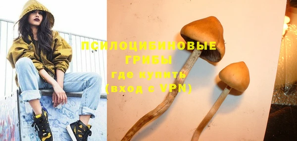 сатива Алексин