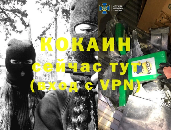 сатива Алексин