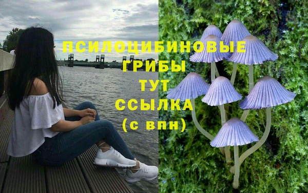 сатива Алексин