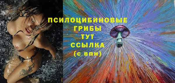 сатива Алексин