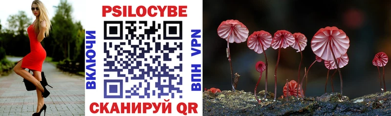 Галлюциногенные грибы Psilocybe  Бологое 